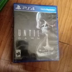 Until Dawn