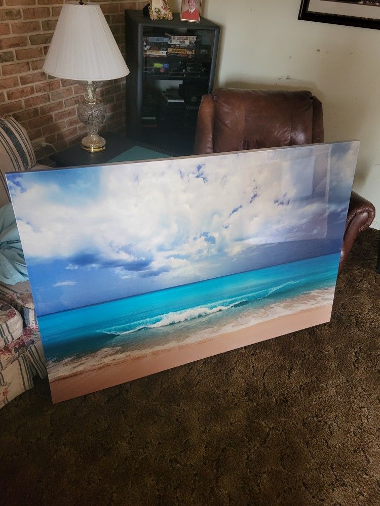 Large Beach/Ocean Picture. (40x60)