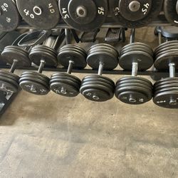Pro Style Steel Dumbells 