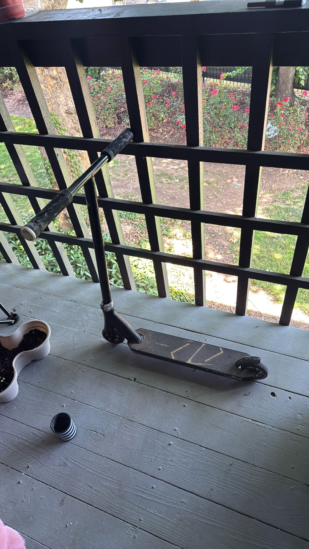 Fuzion Scooter