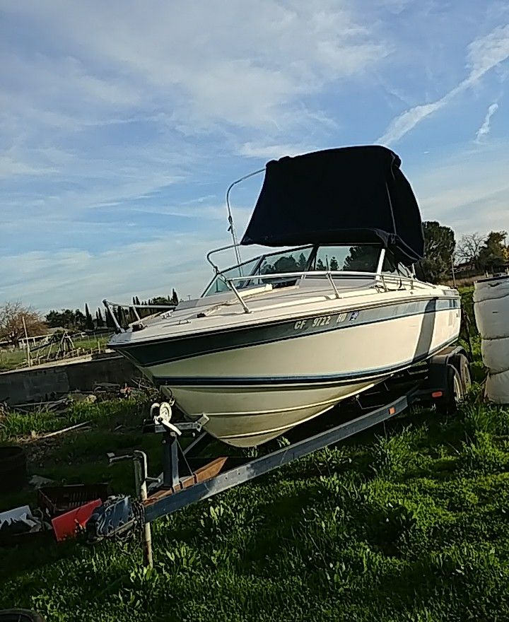 Wellcraft 196 Sunhatch