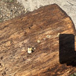 Free Free Wood/Logs Free Free 