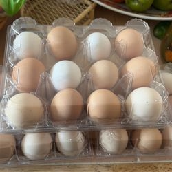Farm fresh eggs (quail and chicken)