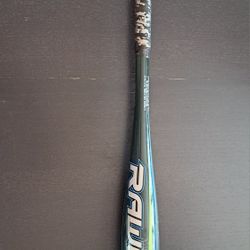 Baseball Bat 27 In. With Baseball Bag