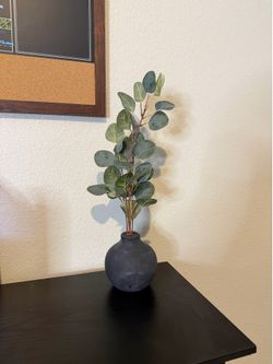 Eucalyptus in black round vase