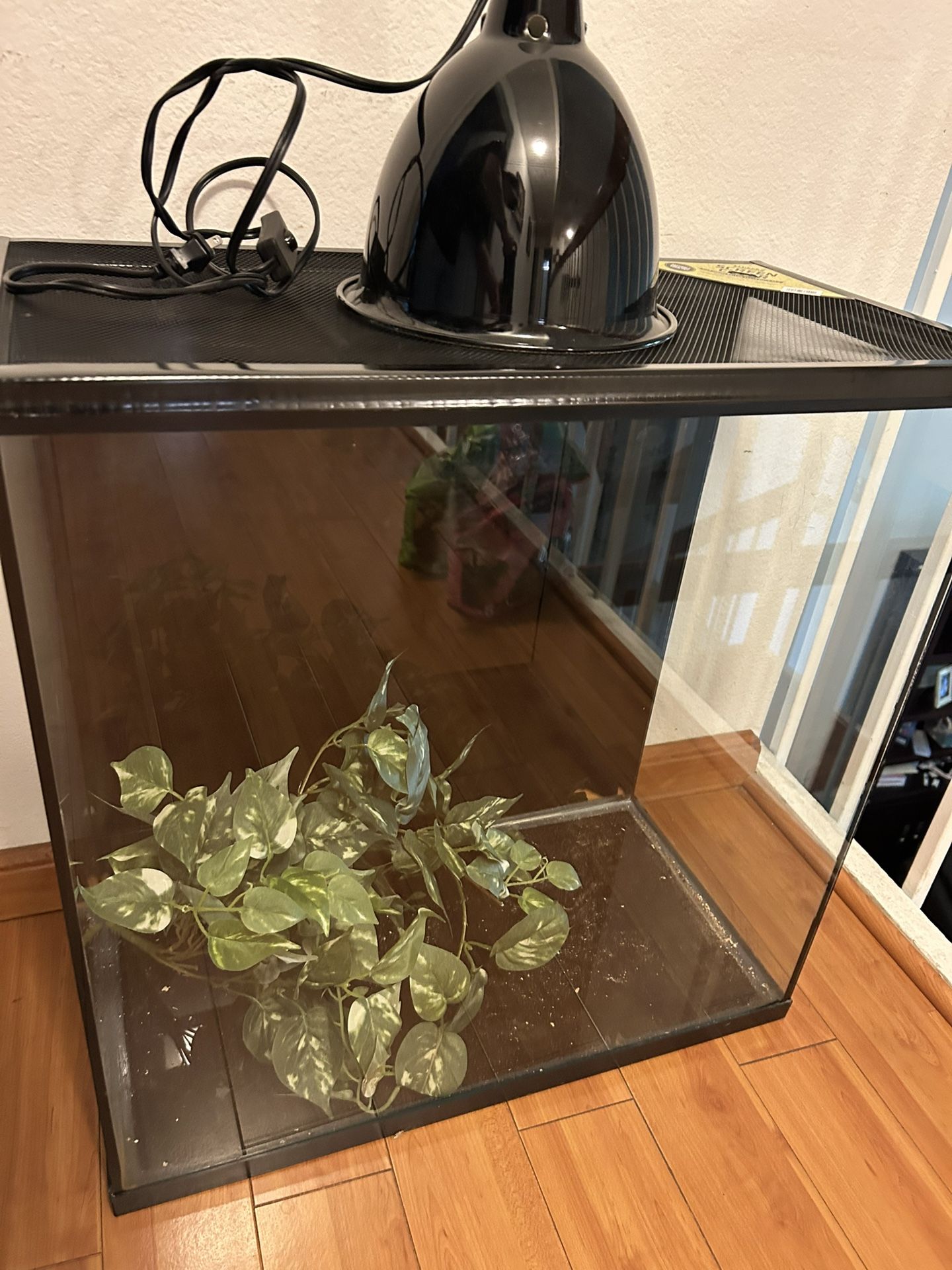 Reptile Tank