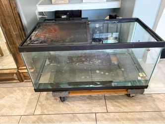2 fish tanks and turtle and filter