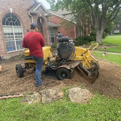 STUMP GRINDING