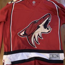 Arizona Coyotes 