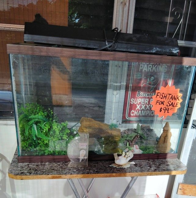 40 Gallon Fishtank & Accessories