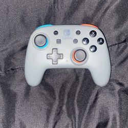 Nintendo Switch Controller