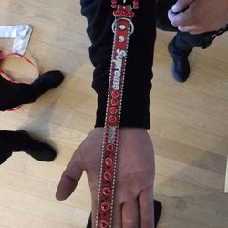 SUPREME®/B.B. SIMON  STUDDED DOG COLLAR

