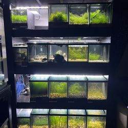 10 Gallon Wood Fish Tank Rack