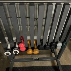 Dumbbell Rack With Dumbbells included.