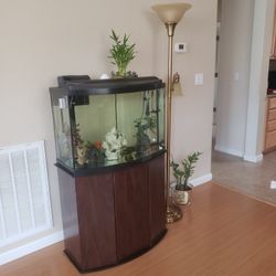 Large Aquarium 
