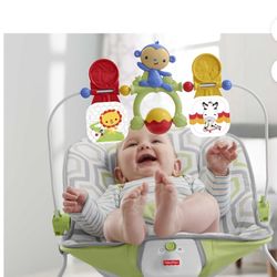 swing fisher price chair with seat