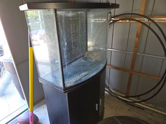 FREE AQUARIUM W STAND