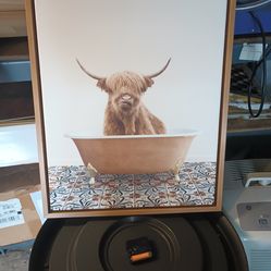 YAK IN TUB