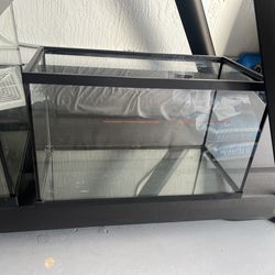 Fish tank deals 20 gallon or 10 gallon
