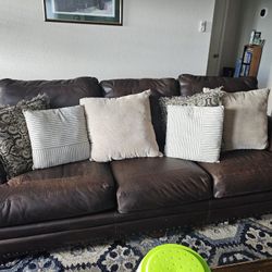 Love Seat And Standard Family Sofa 