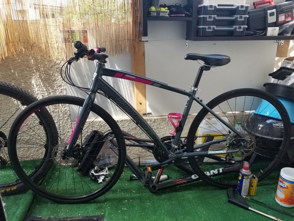 Diamondback clarity 2 disc 2025