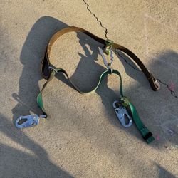 Buckingham EZ Squeeze 490DWDS