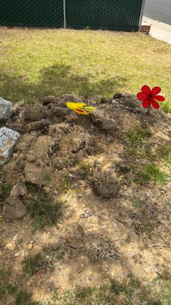 FREE dirt and rocks