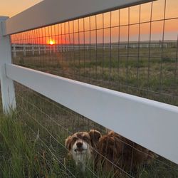 Vinyl And Privacy Fence Etc.