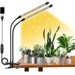 Light for indoor plants 