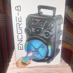 BLUETOOTH SPEAKER 