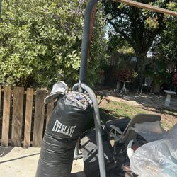 Boxing Bag With Rack 
