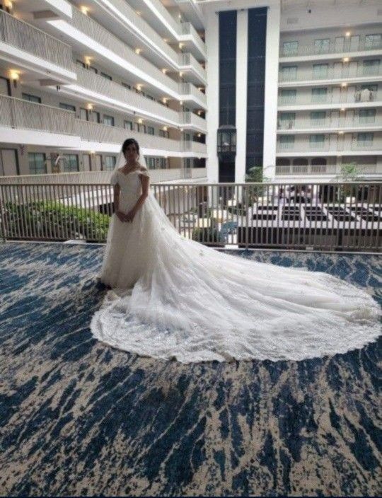 Princess Cathedral Train Tulle And Lace Wedding Dress