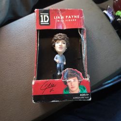 Liam Payne Collectible 
