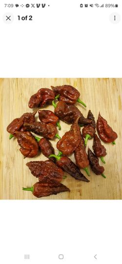 Big Black Mama Pepper Seeds (15)