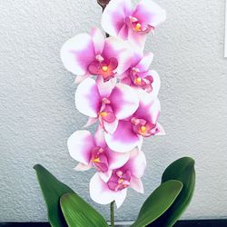Luxurious flower arrangement#orchid design#home decor