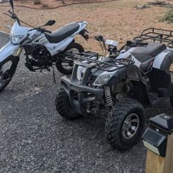 Tao 200 S ATV - 2021 