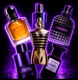 Colonge Supplier Bundle