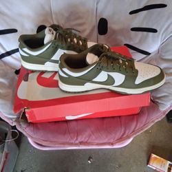 Dead Stock Brand New Dunks 11.5