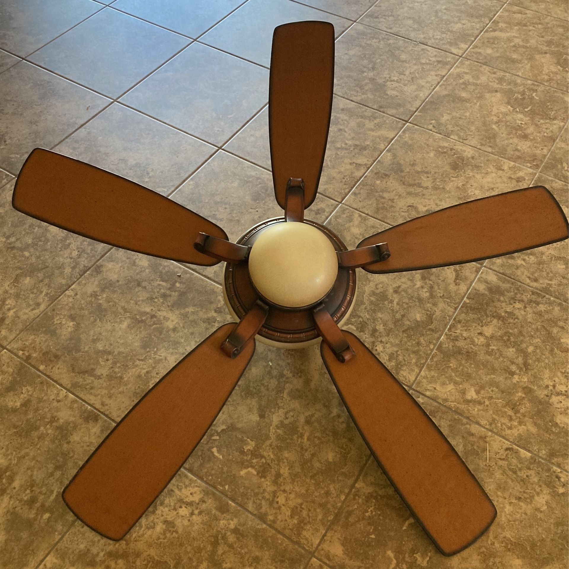 Gorgeous Ceiling Fan w/ Light