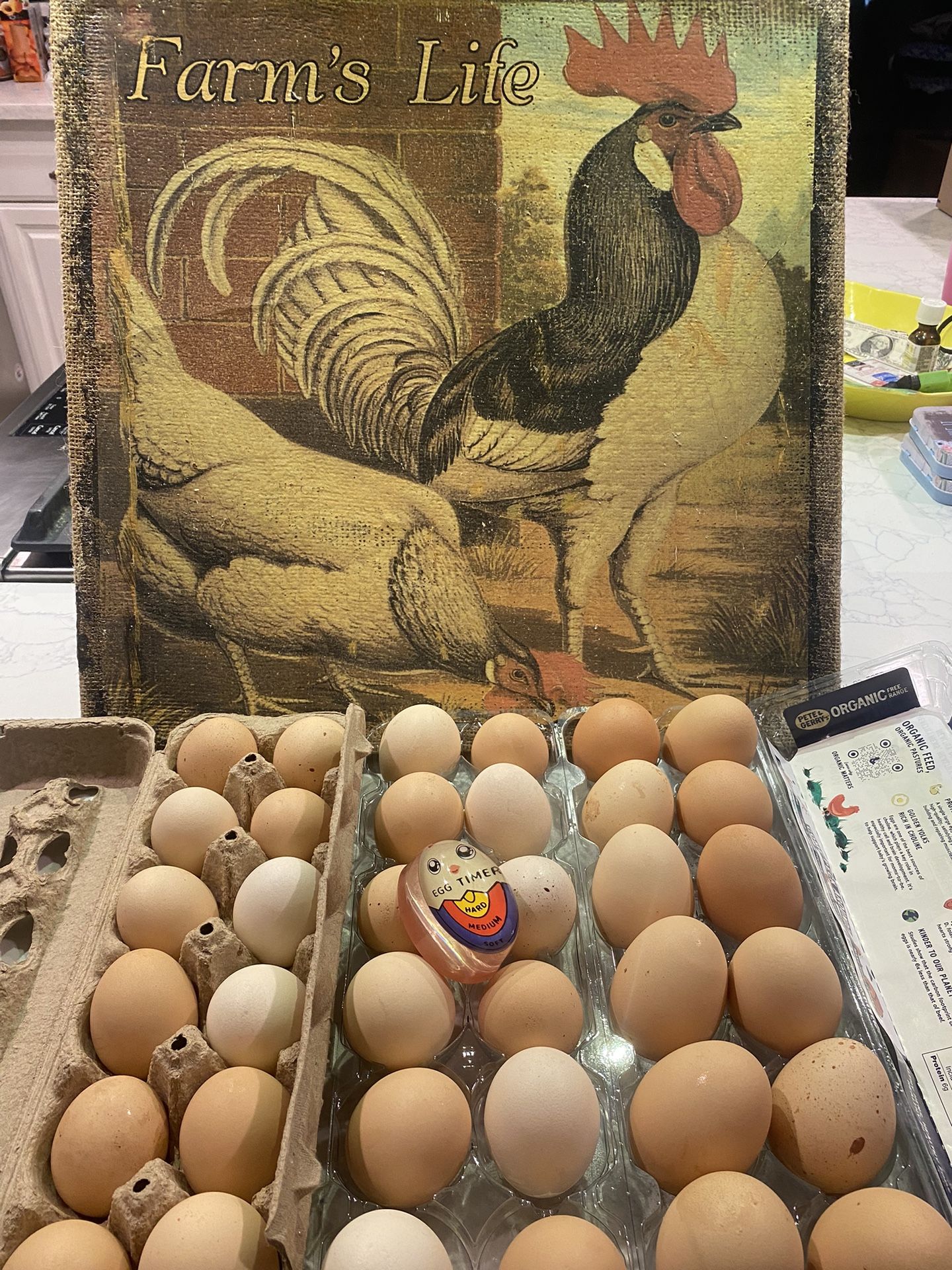 Fresh Organic Eggs