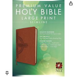 Premium Value Holy Bible Books