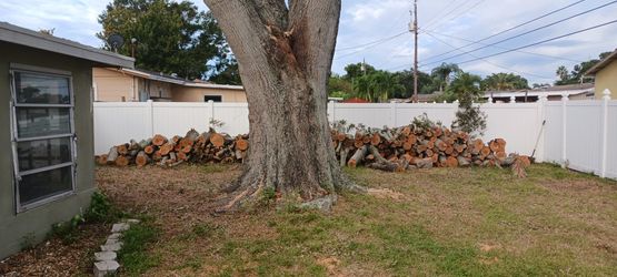 Free Firewood. Donation Is OK. It's Cut Up Clean And Ready To Bless You And Your.