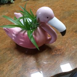 Pelican Planter with Spider Plant.