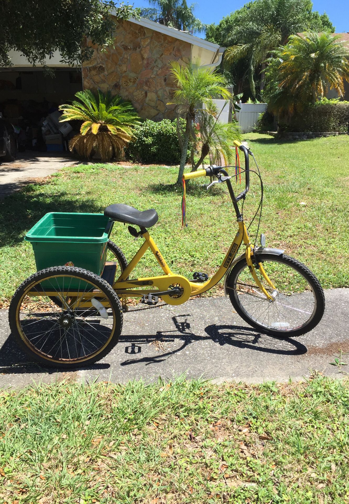Adult Trike tricycle bike