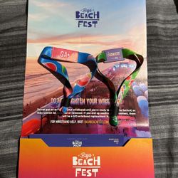 Baja Beach Fest 2024