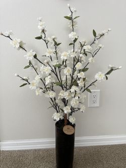 New White Cherry Blossom Plant