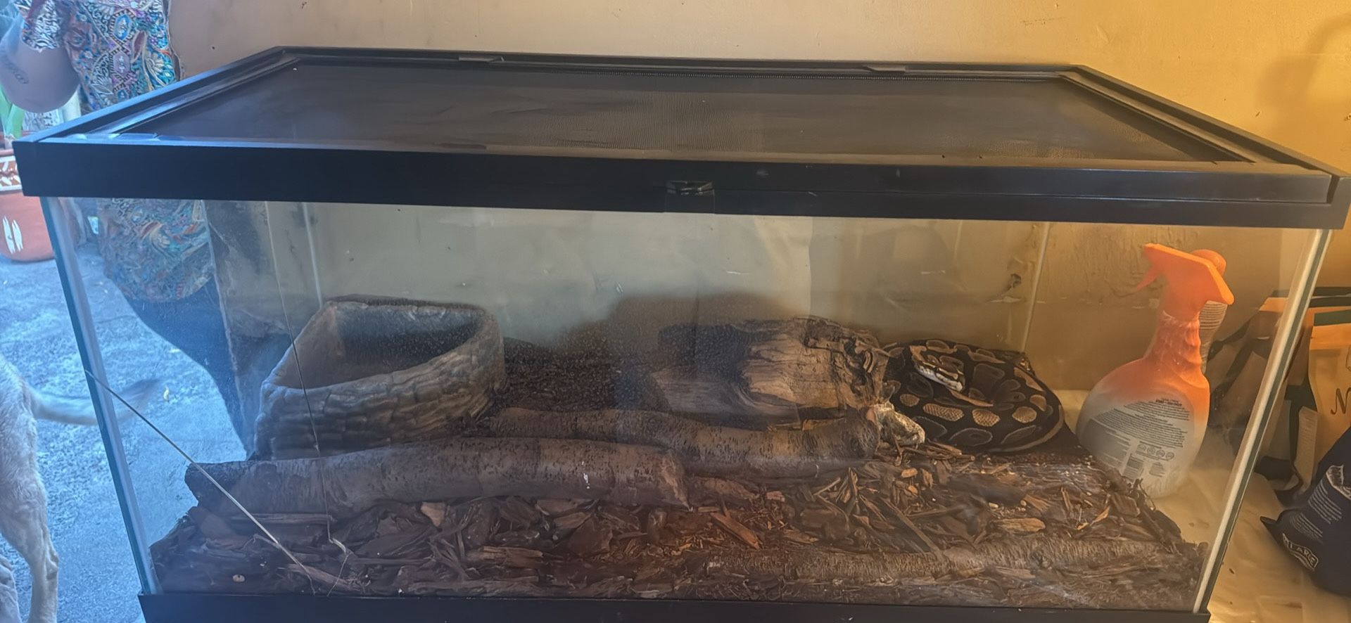 Reptile Tank 