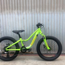 Kids salsa timberjack mountain bike