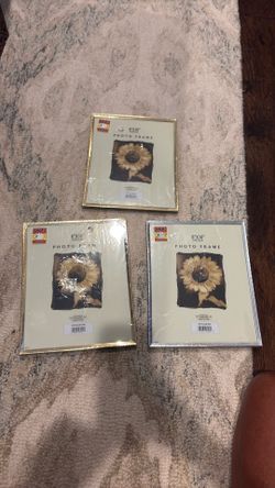 Three 8X10 Frames