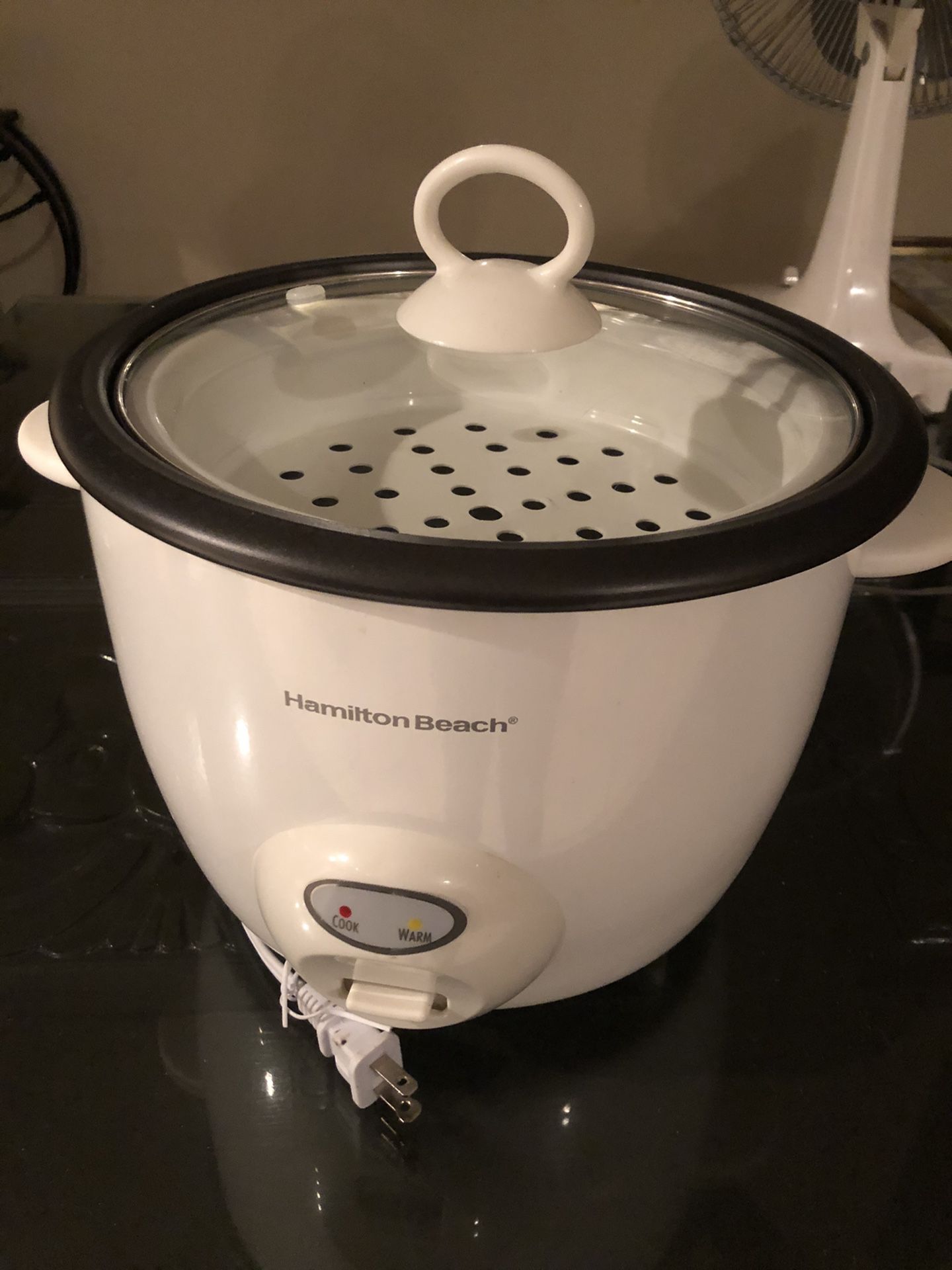 Rice cooker and steamer